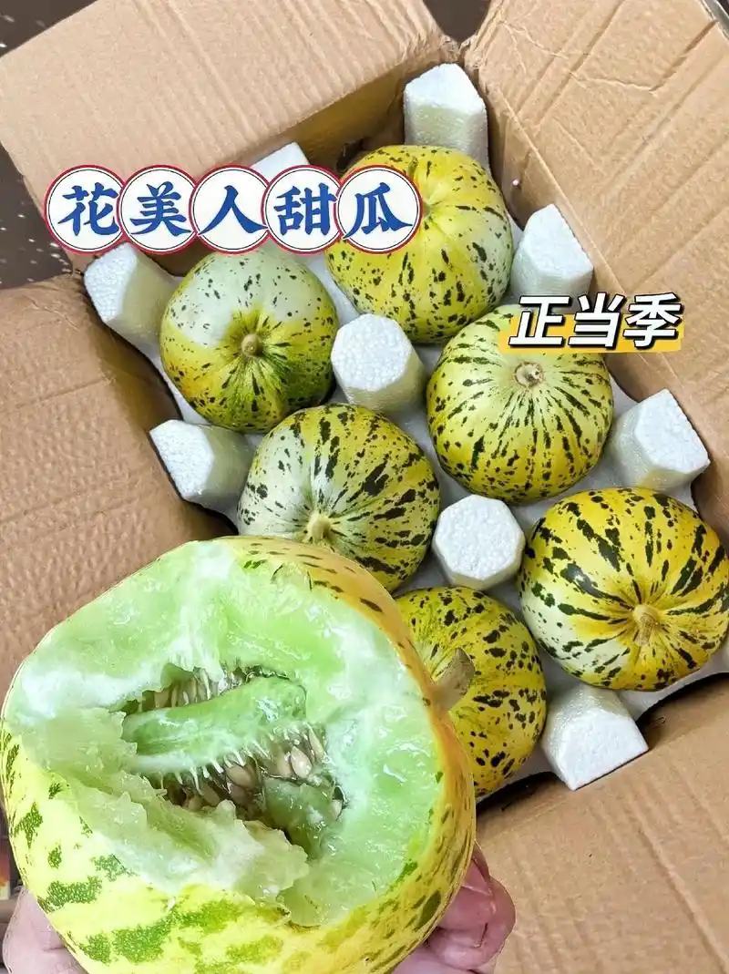 花美人甜瓜山东莘县产区量大，质量保证，口感好