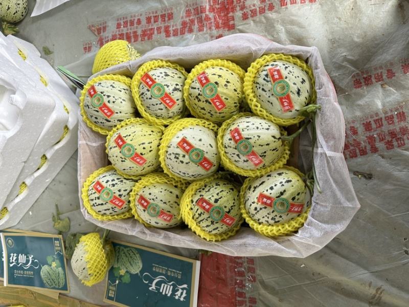 花美人甜瓜山东莘县产区量大，质量保证，口感好