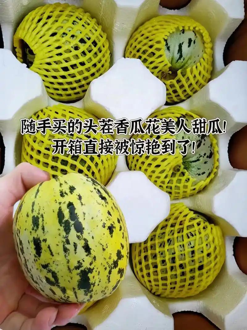 花美人甜瓜山东莘县产区量大，质量保证，口感好