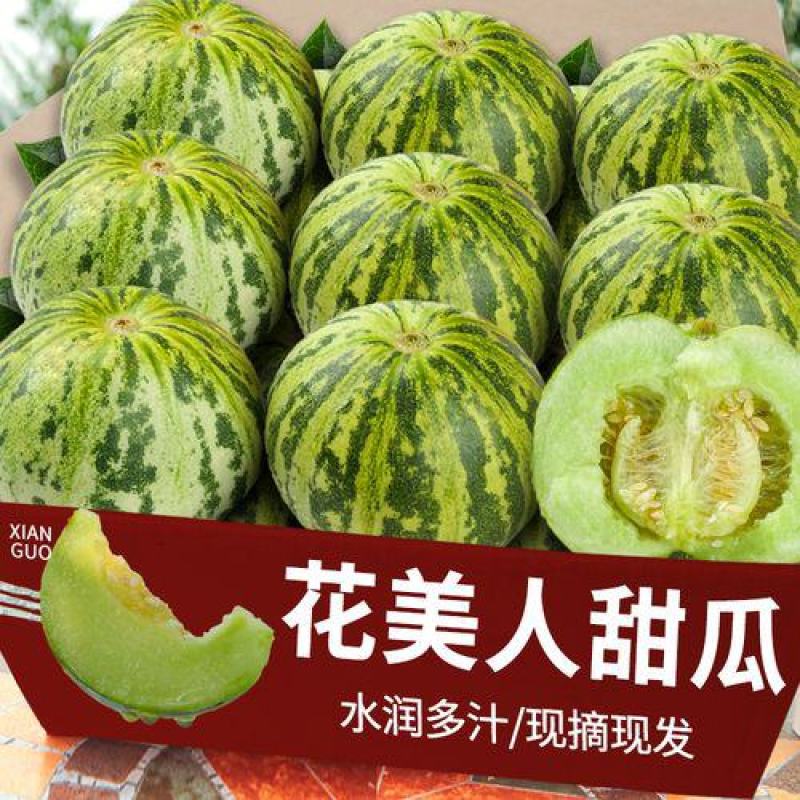花美人甜瓜山东莘县产区量大，质量保证，口感好