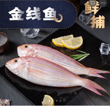 新鲜金线鱼4条斤99元包邮
