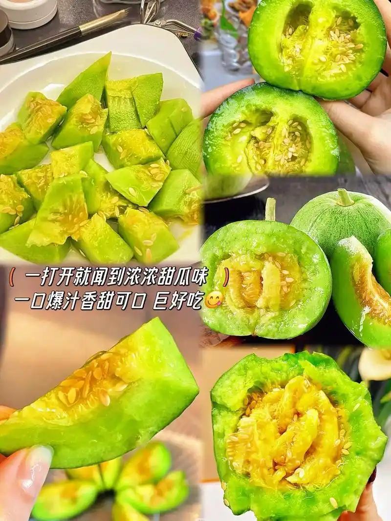 山东莘县产区绿宝甜瓜上市中，质量保证，口感软糯香甜