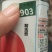 腾地方处理嫁硬粉西红柿苗量大价优电话详谈电商小菜园苗