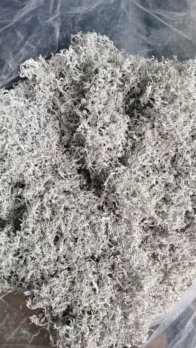 25年藤茶（莓茶）明前芽头，高品质，