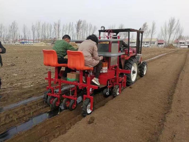 全自动秧苗移栽机蔬菜大棚苗种植机乘坐式药材瓜果栽苗机