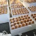 大五星枇杷精品枇杷大量上市口感好品质保证欢迎电话联系