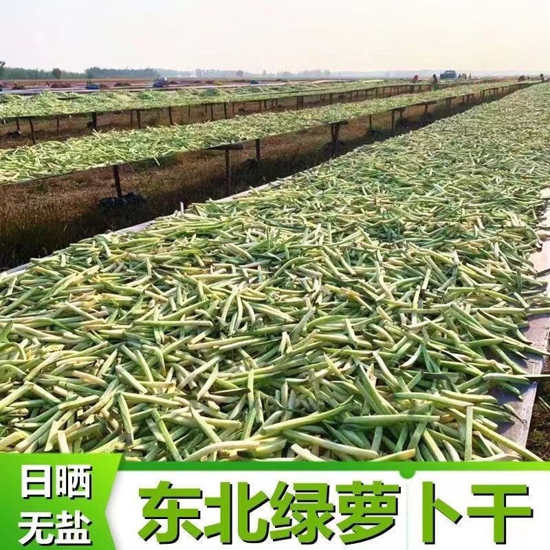 青萝卜干一件代发