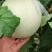 莘县头茬玉菇大量上市,对接商超平台支持一件代发,