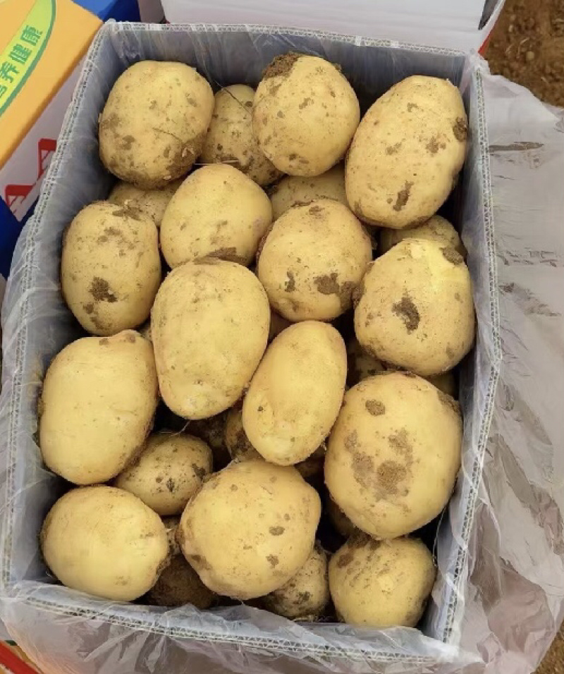 现货直发，大量有货，物美价廉，可视频看货量大价优