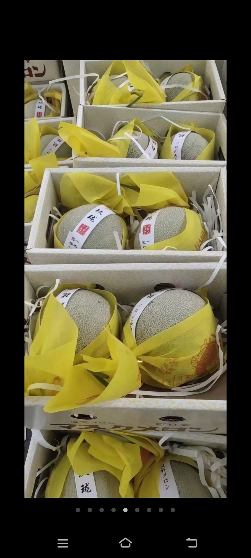 网纹瓜鲁厚甜蜜瓜莘县香瓜甜瓜产地直供对接商超市场平台