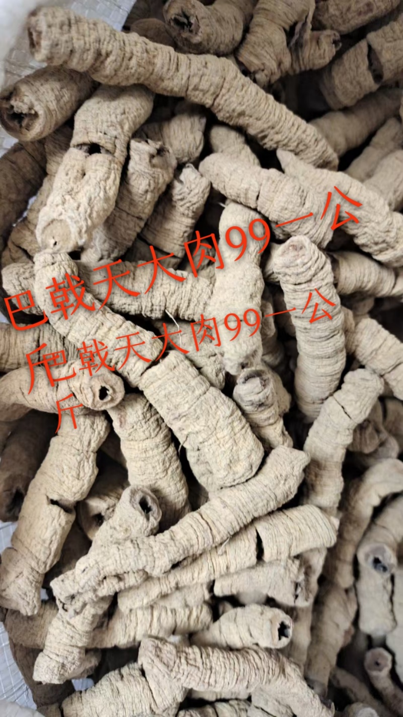 巴戟天正品批发零售常年供货。质量保证，放心购买。