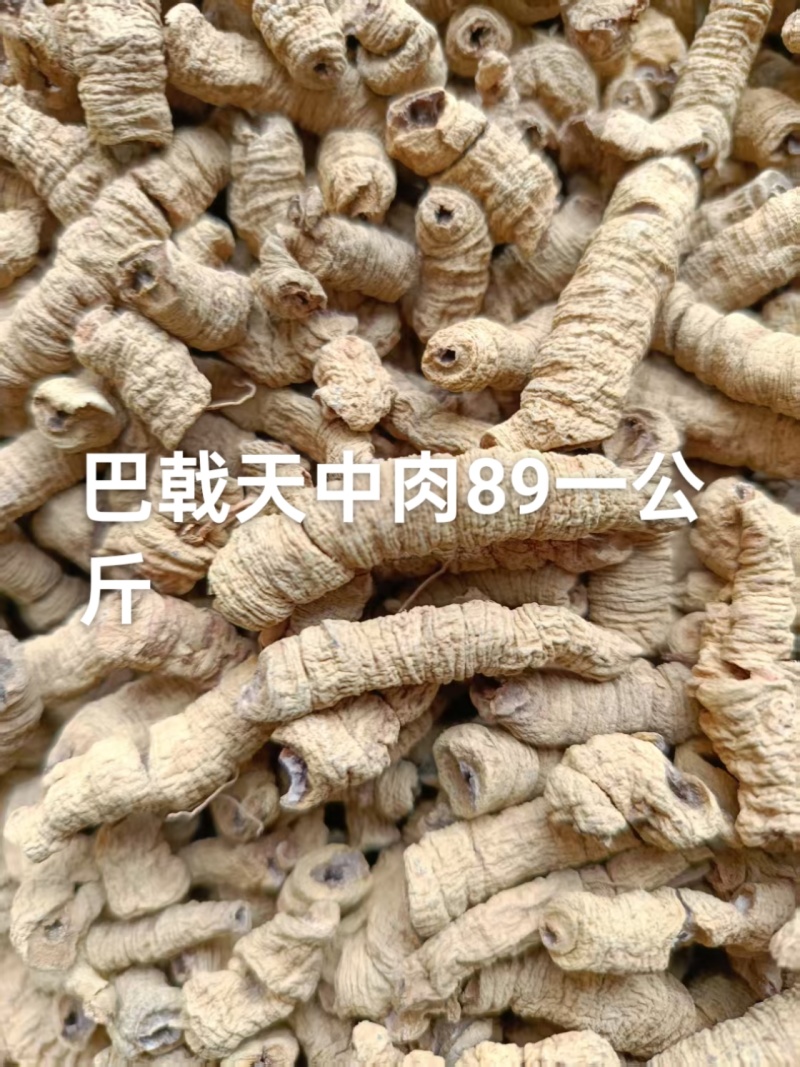 巴戟天正品批发零售常年供货。质量保证，放心购买。