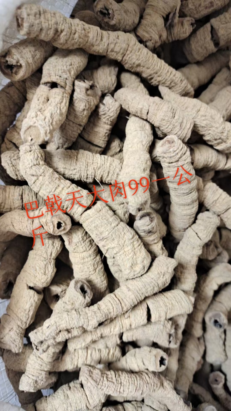 巴戟天正品批发零售常年供货。质量保证，放心购买。