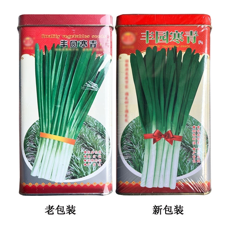 丰园寒青韭菜种子250克罐装不休眠品种耐热耐寒