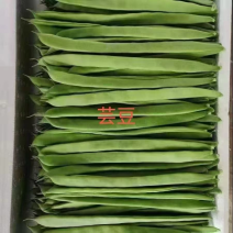 济南市商河县蔬菜大棚种植基地