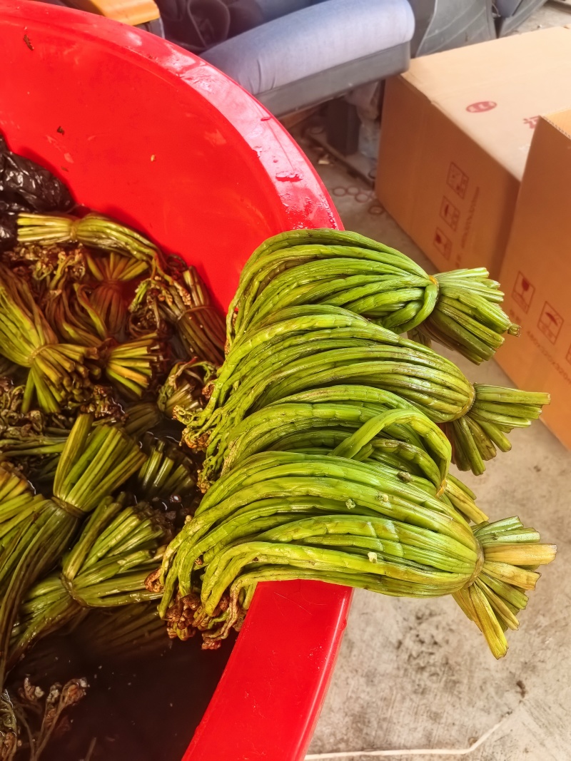【泡菜】贵州青蕨苦蕨盐渍蕨菜大量供应