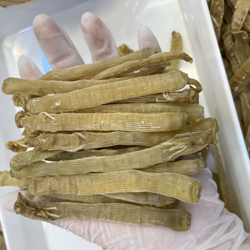 黄沙虫大沙虫干480头无沙足干批发零售