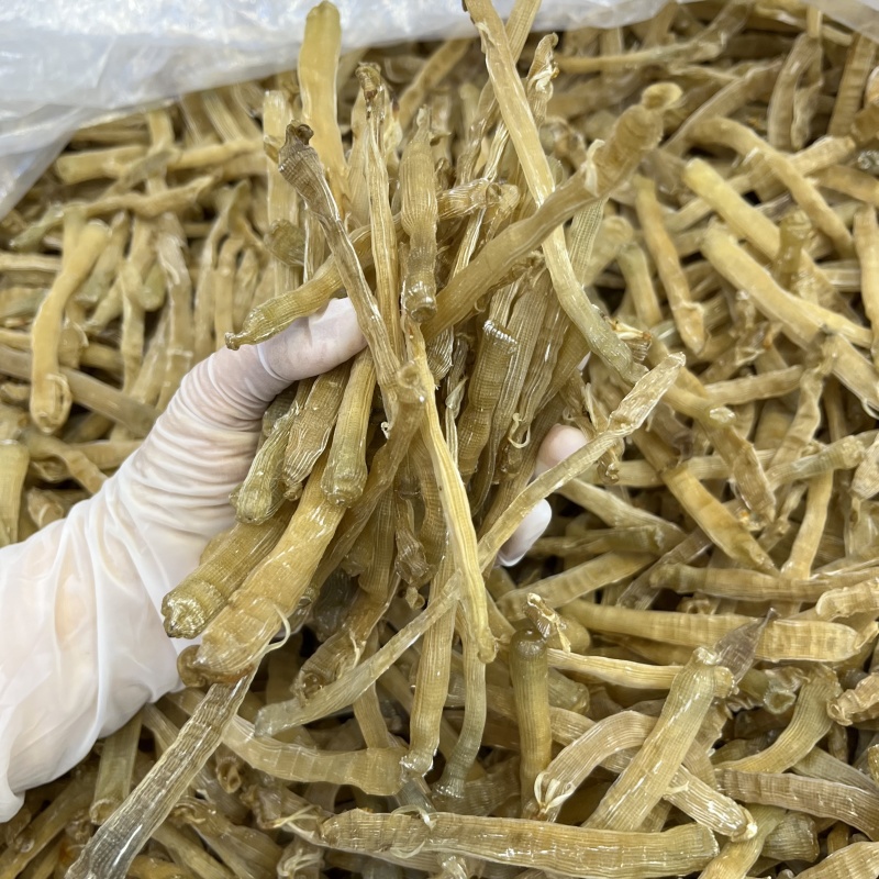 黄沙虫大沙虫干480头无沙足干批发零售