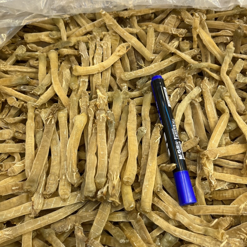 黄沙虫大沙虫干480头无沙足干批发零售