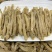 黄沙虫大沙虫干480头无沙足干批发零售