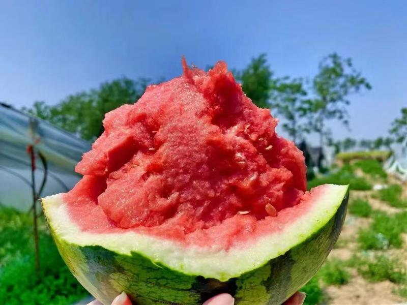 陕西精品美都西瓜产地货源充足包熟包甜全国发货欢迎电话联系