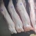 猪肉现杀猪肉白条猪厂家直供一手货源品质保障