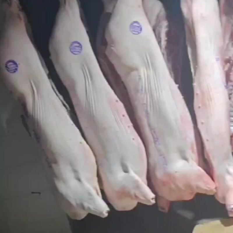 猪肉现杀猪肉白条猪厂家直供一手货源品质保障