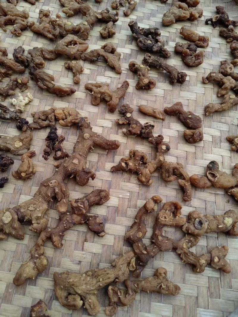 【包邮】多花黄精，九蒸九晒，姜型黄精，支持一件代发