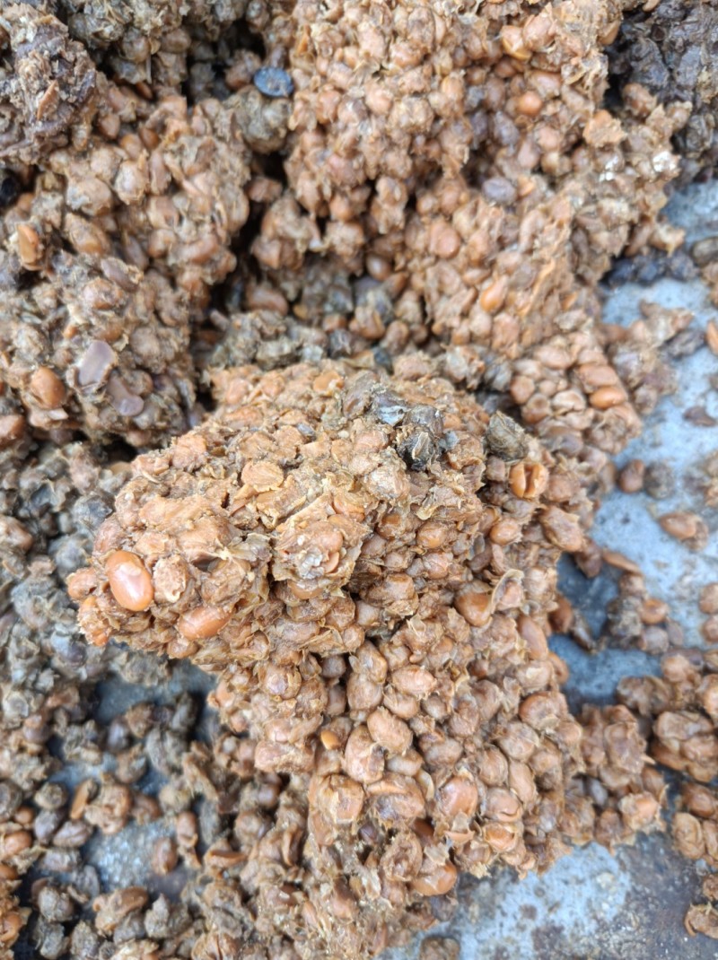 黄豆酱油渣。蛋白高脂肪高，有包装