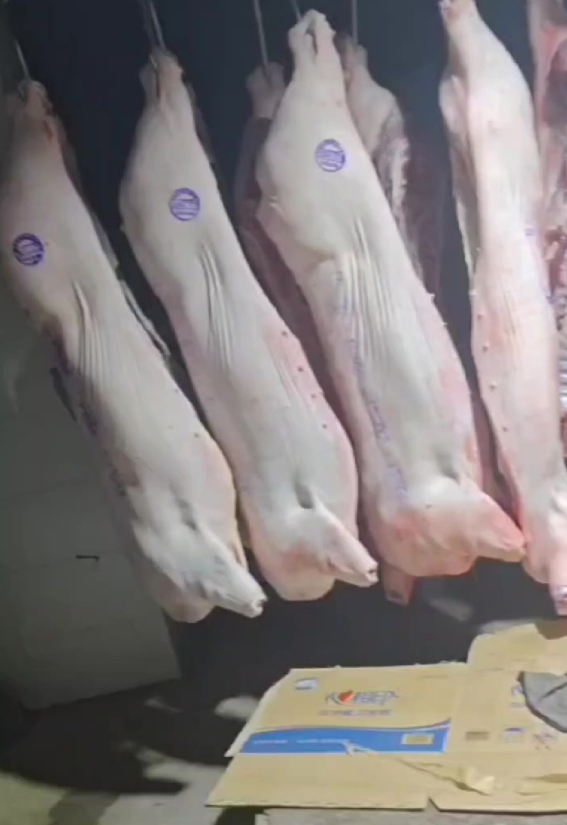 猪肉现杀猪肉白条猪厂家直供一手货源品质保障