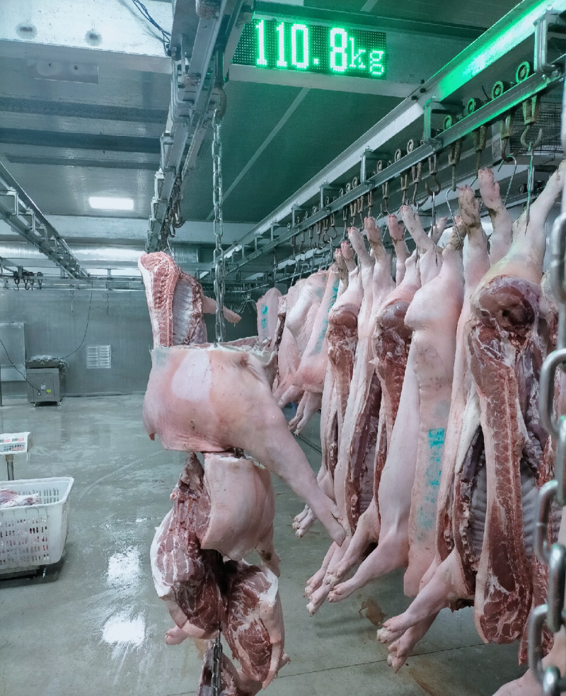 猪肉现杀猪肉白条猪厂家直供一手货源品质保障