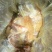 全羊半成品生制腌制调理羊烧烤农庄饭店庄园烤全羊团建露营聚