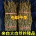 云南特级铁皮石斛干条，全化渣可磨粉，全国发货