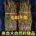 云南特级铁皮石斛干条，全化渣可磨粉，全国发货