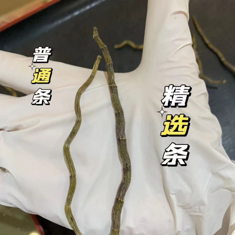 云南特级铁皮石斛干条，全化渣可磨粉，全国发货