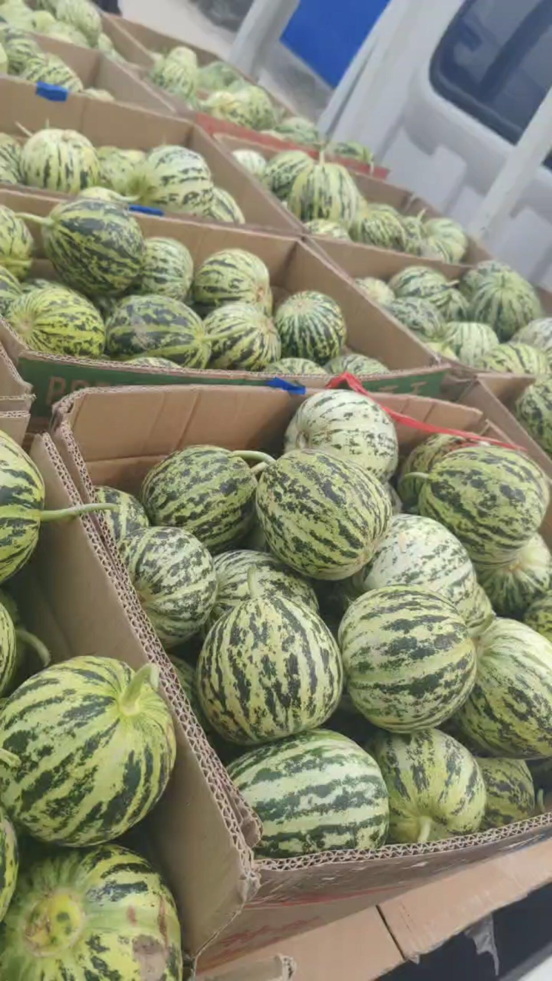 头茬脆甜产地直发