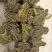 黑斑蛙产地一手货源规格齐全，保证鲜活欢迎电话联系