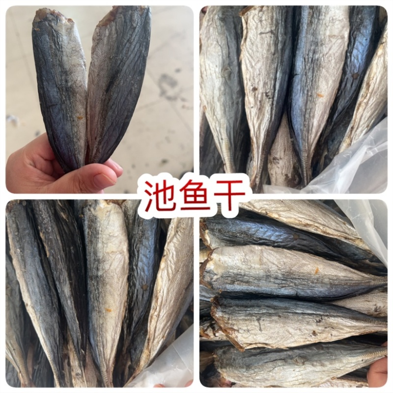 池鱼地摊电商批发木竹鱼巴浪鱼干海鲜干货咸鱼池鱼干