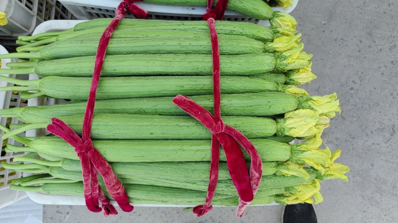 丝瓜