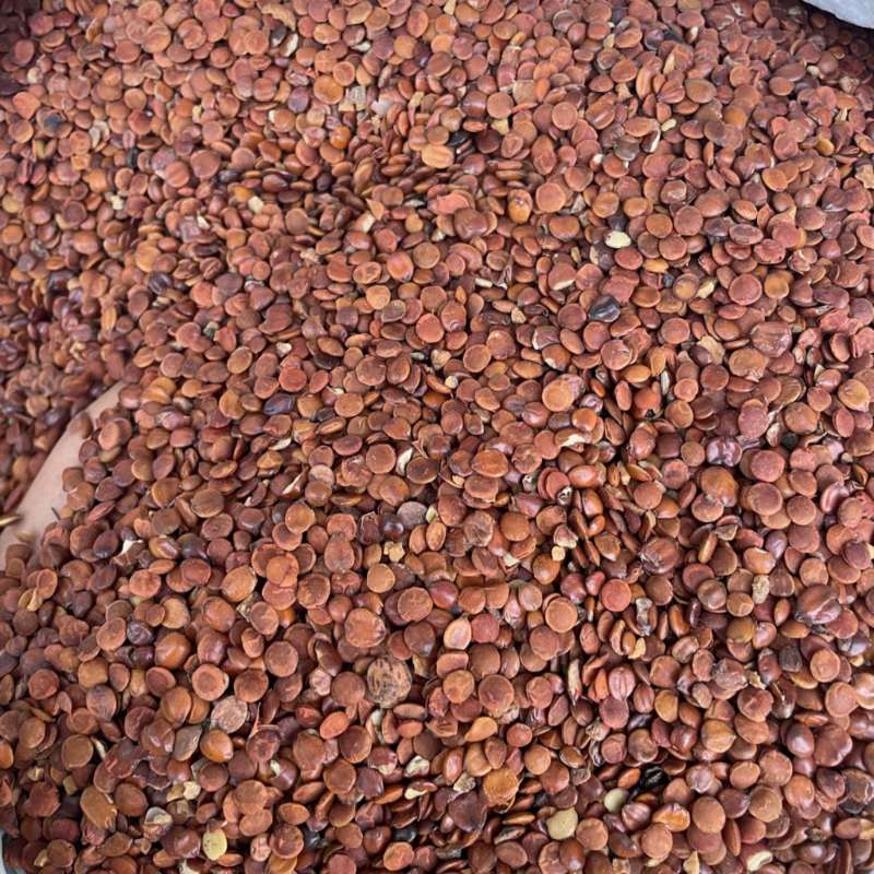 枣仁酸枣仁新货大量现货可零售批发品质保证
