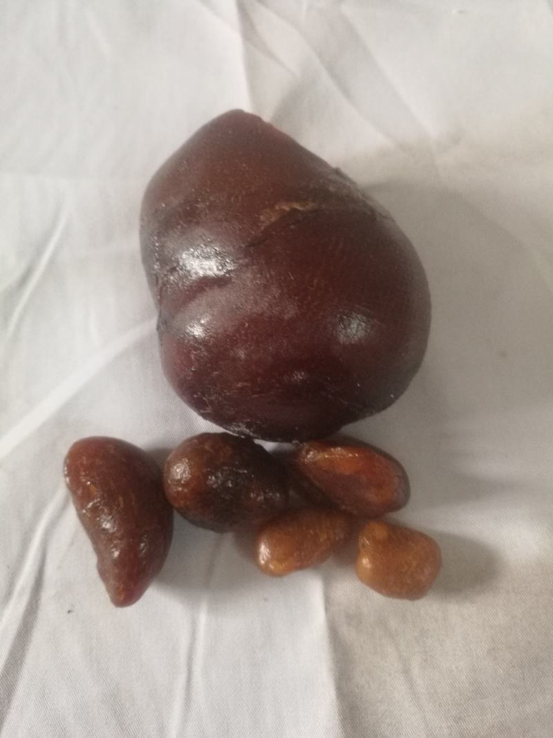 十年以上鸡宝精品