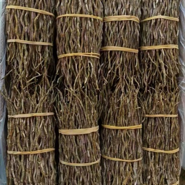 云南铁皮石斛，干条大量现货，全化渣一手货源，品质保证