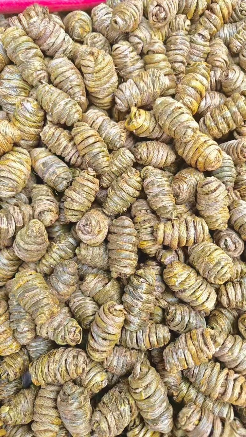 霍山铁皮石斛，云南石斛，枫斗粒胶质多，大量现货无苦少渣