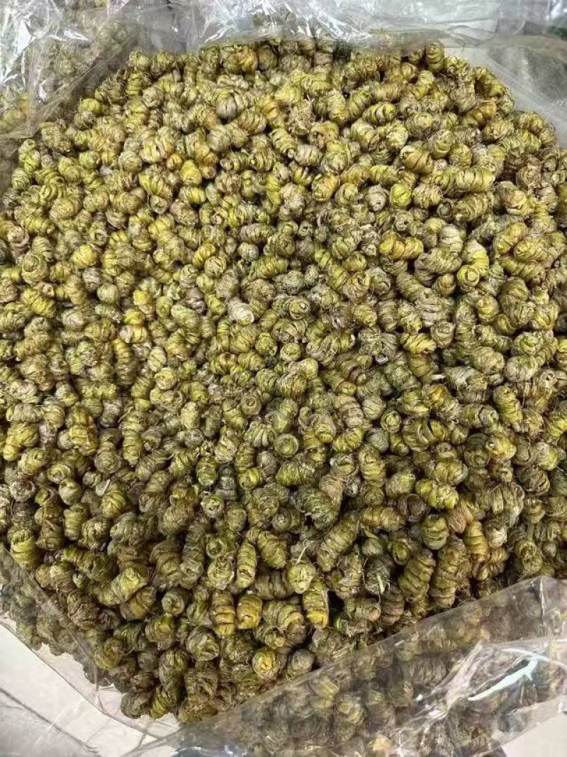 霍山铁皮石斛，云南石斛，枫斗粒胶质多，大量现货无苦少渣