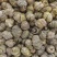 【优质】紫皮石斛，大量现货，干条货枫斗粒，保质质量可零售