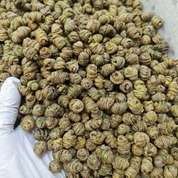 【优质】紫皮石斛，大量现货，干条货枫斗粒，保质质量可零售