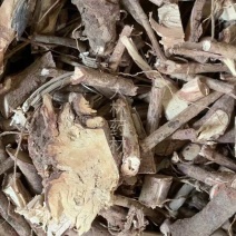 排钱根【包邮】三斤起发货可批量可零售量大从优