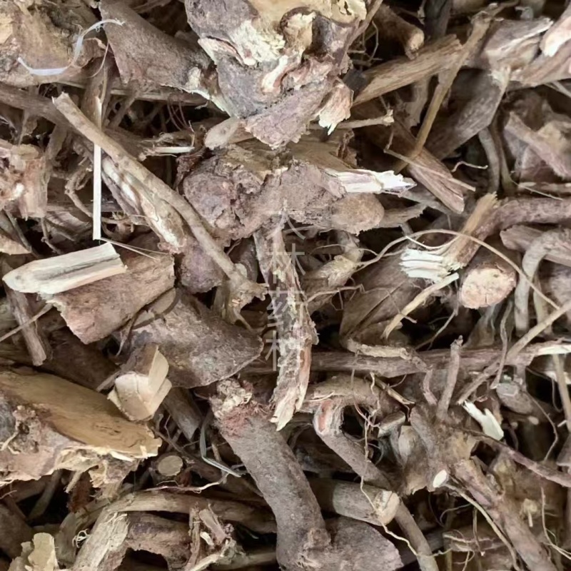 排钱根【包邮】三斤起发货可批量可零售量大从优