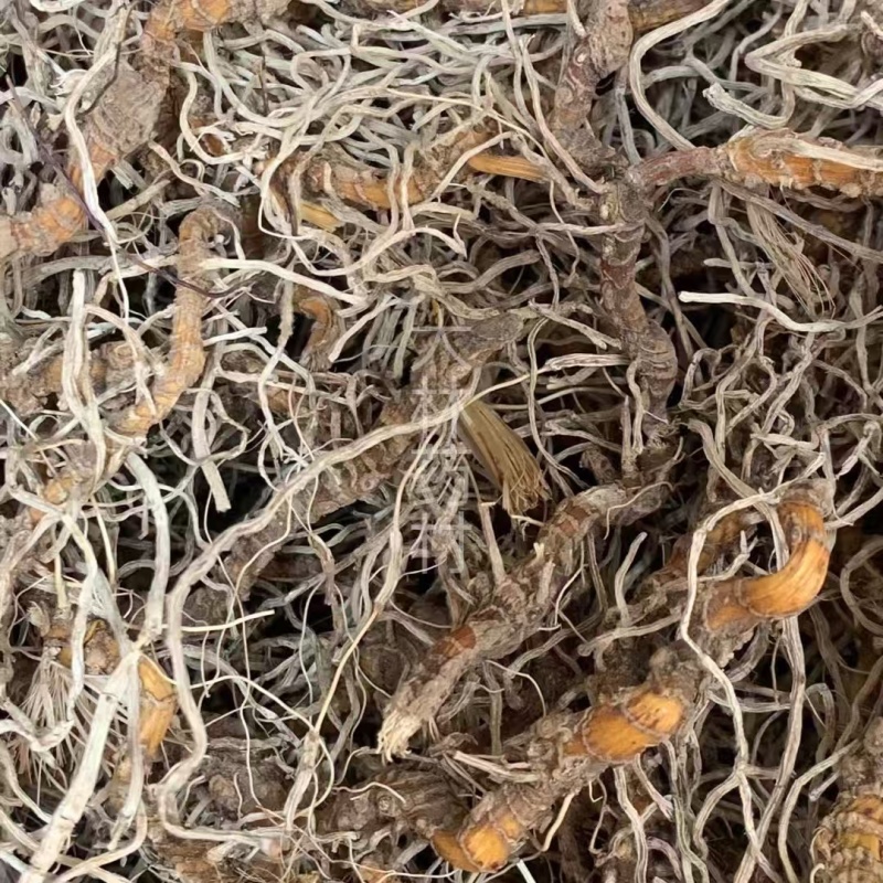 入地蜈蚣【包邮】三斤起发货可批量可零售量大从优