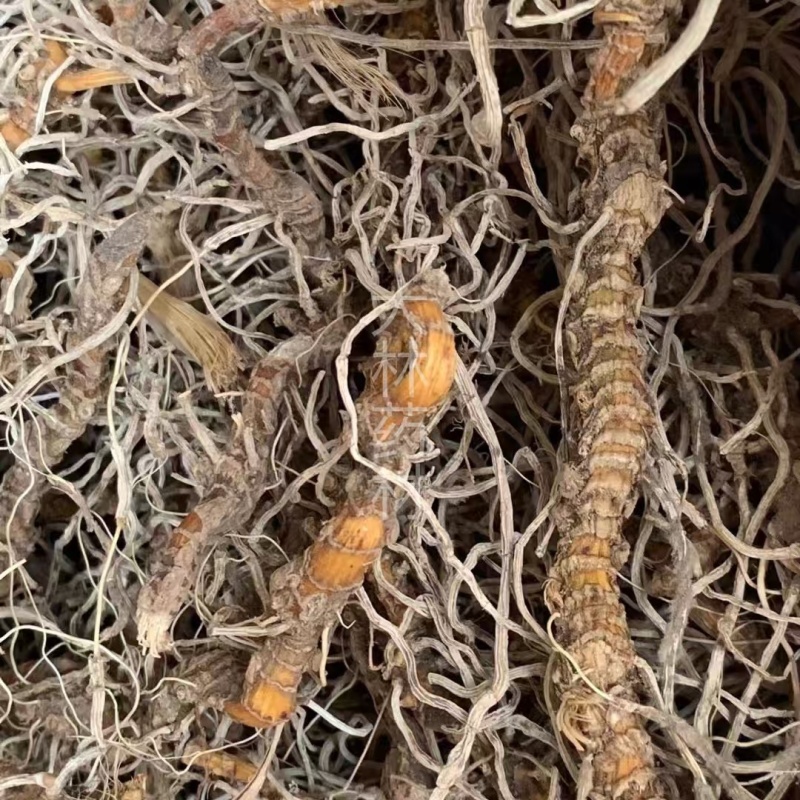 入地蜈蚣【包邮】三斤起发货可批量可零售量大从优